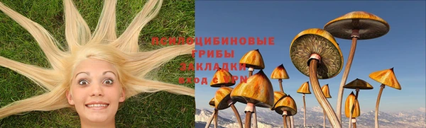 метамфетамин Богородицк