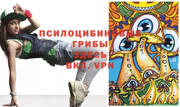 метамфетамин Богородицк