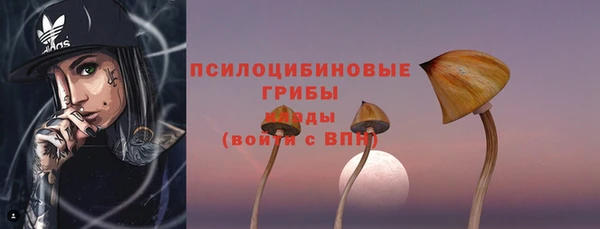 первитин Богданович